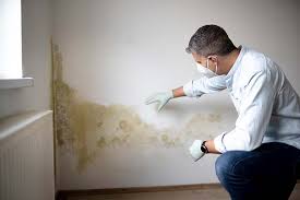 Best Forensic Mold Investigation in Trempealeau, WI